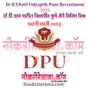 Dr D.Y.Patil Vidyapith Pune Recruitment 2023.